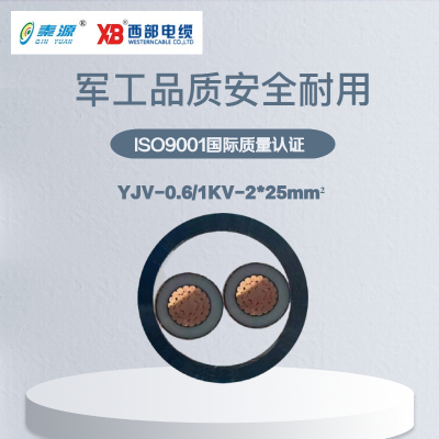 秦源牌 YJV-0.6/1KV-2*25mm² 铜芯低压电力电缆 联系客服 定制商品
