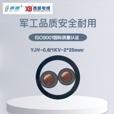 秦源牌 YJV-0.6/1KV-2*25mm² 铜芯低压电力电缆 元/米 定制商品 联系客服