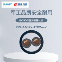 秦源牌 YJV-0.6/1KV-2*120mm² 铜芯低压电力电缆 联系客服 定制商品