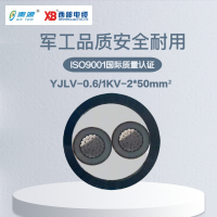 秦源牌 YJLV-0.6/1KV-2*50mm² 铝芯低压电力电缆 元/米 定制商品 联系客服