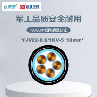 秦源牌 YJV22-0.6/1KV-5*50mm² 阻燃铜芯低压钢带铠装绝缘电力电缆 元/米 定制商品 联系客服