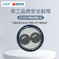 秦源牌 YJLV22-0.6/1KV-2*10mm² 铝芯低压铠装电力电缆 元/米 定制商品 联系客服