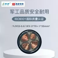 秦源牌 YJV22-0.6/1KV-3*70+1*35mm² 铜芯低压钢带铠装绝缘电力电缆 元/米 定制商品 联系客服
