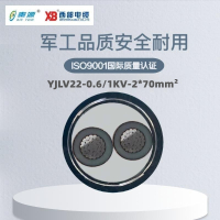 秦源牌 YJLV22-0.6/1KV-2*70mm² 铝芯低压铠装电力电缆 元/米 定制商品 联系客服