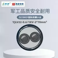 秦源牌 YJLV22-0.6/1KV-2*70mm² 铝芯低压铠装电力电缆 元/米 定制商品 联系客服