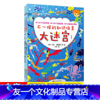 [友一个]不一样的知识场景大迷宫 全2册 2-3-4-5-8岁儿童逻辑思维专注力训练书 幼儿找不同记忆力益智游戏早教书