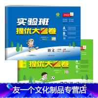 [2本套装]语文+数学 人教版 二年级上 [友一个正版]2022年秋 小学实验班提优大考卷二年级上册语文数学人教版2本套