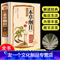 [友一个正版]彩色图鉴 本草纲目医基础理论自学百日通中医书籍大全中草药全图鉴方剂学中药材中国药典医学医学类书籍草药书思