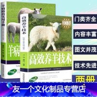 [友一个正版]2册养羊技术书籍 大全高效养羊+羊病防治实用手册综合治疗全书快速诊治畜牧兽医专业养殖书籍大全基础知识科学