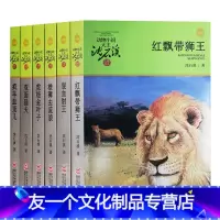 [友一个正版]沈石溪动物小说第三辑新版6册/红飘带狮王+混血豺王+雄狮去流浪+虎娃金叶子+双面猎犬+疯羊血顶儿