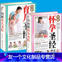 [友一个正版]全套2册 怀孕圣经+育儿圣经 孕妈妈孕育知识百科全书 孕妇怀孕期书籍大全 十月怀胎 婴儿早教 孕前孕期准