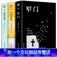 [友一个正版]2021精装新版安德烈纪德的书籍全集全套3册 窄门+人间食粮+田园交响曲 纪德文集精选作品集现当代文学小