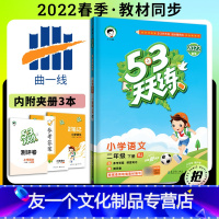 语文 [友一个正版]2022新版53天天练二年级下册语文人教版五三天天练 小学2年级下册语文同步训练练习册ttl 53天