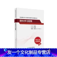 [友一个正版]眼科学习题集全国高级卫生专业技术资格考试同仁眼科王宁利正高职称副主任护师版副高级职称考试书2022年人民