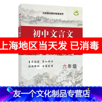 [友一个正版] 初中文言文完全解读 六年级/6年级上下册 与统编本新教材配套 初中古诗文课文全解全析习题解答拓展阅