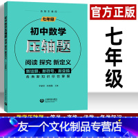 [友一个正版]初中数学压轴题七年级练习题 初一数学思维训练新运算符号图形函数提升解题技巧练习册初中7年级几何一元一次方