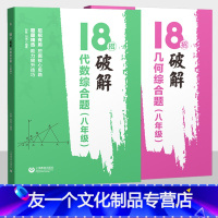 几何综合题+代数综合题 八年级/初中二年级 [友一个正版]18招破解几何综合题代数综合题 八年级 全国通用 初中初二数学
