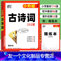 古诗词 252篇 小学升初中 [友一个正版]2023新版星空小升初古诗词252首 语文古诗文阅读专项训练大全精讲精练本