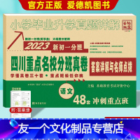 语文 小学升初中 [友一个正版]2023版四川重点名校分班真卷语文 四川省小升初真题试卷新初一分班五六年级小考重点小学升