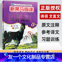 古诗文课外阅读 九年级/初中三年级 [友一个正版]新黑马阅读古诗文课外阅读九年级 初中生阅读专项训练练习册辅导用书诗词文