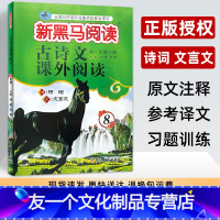 古诗文课外阅读 八年级/初中二年级 [友一个正版]新黑马阅读古诗文课外阅读八年级 初中生阅读专项训练 初二8年级上下册语