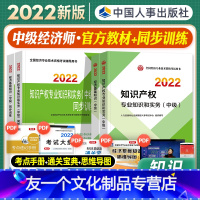 [友一个正版]中级经济师2022年新版教材辅导用书经济基础知识知识产权专业知识与实务教材同步训练2022全国经济专业技