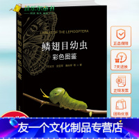 [友一个正版]鳞翅目幼虫彩色图鉴(精装本) 石宝才 一本献给昆虫爱好者的毛毛虫图鉴 昆虫生物学书籍 中国农业出版社图书