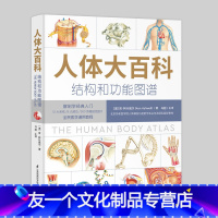 [友一个正版]人体大百科 结构和功能图谱 (澳)肯·阿什威尔著 人体结构器官百科知识 保持健康的简单方法 身体使用手