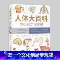 [友一个正版]人体大百科 结构和功能图谱 (澳)肯·阿什威尔著 人体结构器官百科知识 保持健康的简单方法 身体使用手