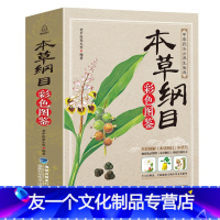 [友一个正版]本草纲目李时珍彩图版原著 中医养生书籍大全 中医基础理论 中药学中药材彩图大全图解黄帝内经系列 中草药书