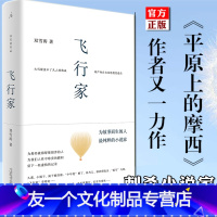 [友一个正版] 飞行家 双雪涛著 平原上的摩西作者 杨幂雷佳音主演刺杀小说家电影原著小说 中国现当代文学短篇小说合