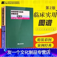 [友一个正版]内镜诊断与鉴别诊断图谱上消化道 第二版 胃镜书 上消化道内镜诊断秘籍 实用消化内科学 临床医学书 辽宁科