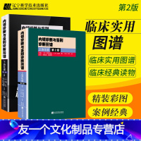 [友一个正版] 内镜诊断与鉴别诊断图谱 上消化道+下消化道 第2版 多田正大 日芳野纯治 胃镜诊断图谱 消化内镜医学