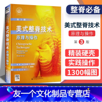 [友一个正版]美式整脊技术 原理与操作 美式整脊疗法书籍 伯格曼 彼得森著 王平 天津科技翻译出版公司 脊柱矫正骨科学