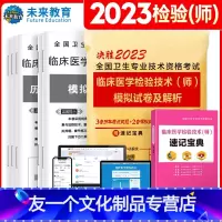 [友一个正版]2023年临床医学检验技术师教材临床医学检验师历年真题模试卷临床医学检验师考试书习题集全国卫生专业技术资