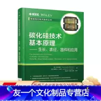 [友一个正版] 碳化硅技术基本原理 生长表征器件和应用 木本恒暢 电力 功率器件 半导体 智能电网 微电子 机械工