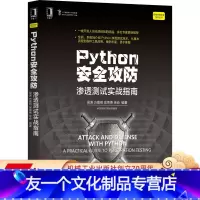 [友一个正版] Python安全攻防 渗透测试实战指南 吴涛 方嘉明 吴荣德 徐焱 网络空间技术编程设计 机械工业