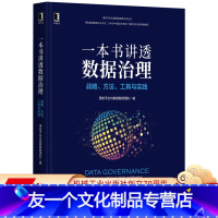 [友一个正版] 一本书讲透数据治理 战略 方法 工具与实践 用友平台与数据智能团队 用户画像 DAMA 标签 数