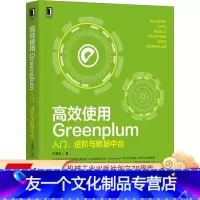[友一个正版] 高 效使用Greenplum入门 进阶与数据中台 王春波 性能测试 分析函数 ETL工具箱 运维管