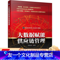 [友一个正版] 大数据赋能供应链管理 韩胜建 精益 六西格玛 指标确定 数据收集清洗 流程再造 数据挖掘 分析技术