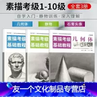[友一个正版]素描考级三册 素描考级基础教程 几何体石膏头像静物实例练习铅笔画手绘素描基础临摹速写教材高考艺考级画册学