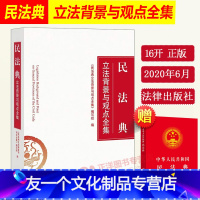 [友一个正版] 民法典2021年版 新修订 民法典背景与观点全集 新版中国民法典全国两会修订草案 中华人民共和