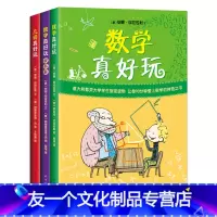 数学真好玩 [友一个正版]书籍数学真好玩(全3册)