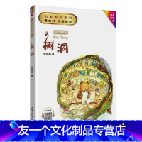 《树洞》 [友一个正版]安武林文集 树洞 拼音美绘版 ZS倾情 小学生一二三年级课外阅读书籍
