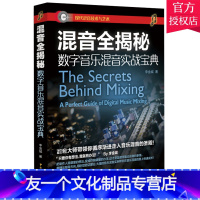 [友一个正版] 混音全揭秘 数字音乐混音实战宝典 李金城 音乐后期制作录音技术数字音乐基础效果器运用混音技术系统讲解现