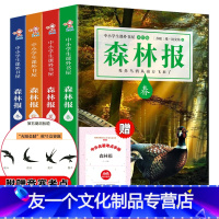 [友一个正版]竞赛考题无删减版森林报春夏秋冬比安基著全套四册合本人教版小学生三四五六年级上册阅读课外书阅读书籍5年级青