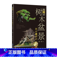 [正版]图解树木盆景制作与养护(彩图版) 树木盆景书籍盆景制作树木造型书籍