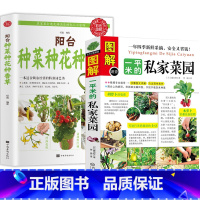 [正版]2册 图解一平米的私家菜园+阳台种菜种花种香草 种植技术新手入门四季养花种花大全家庭养花种菜花卉种植宝典书籍