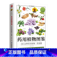 [正版] 药用植物图鉴 :285种药用植物的特征与使用 植物分类 鉴别方法以及适应病症植物的性味归经别名分布习性功效主