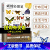 [正版]蝴蝶轻图鉴 179种蝴蝶与60种蛾类的特征图解 珍藏科普读物指南野外观蝶 蝴蝶文化与鉴赏昆虫类书籍 如何观察饲